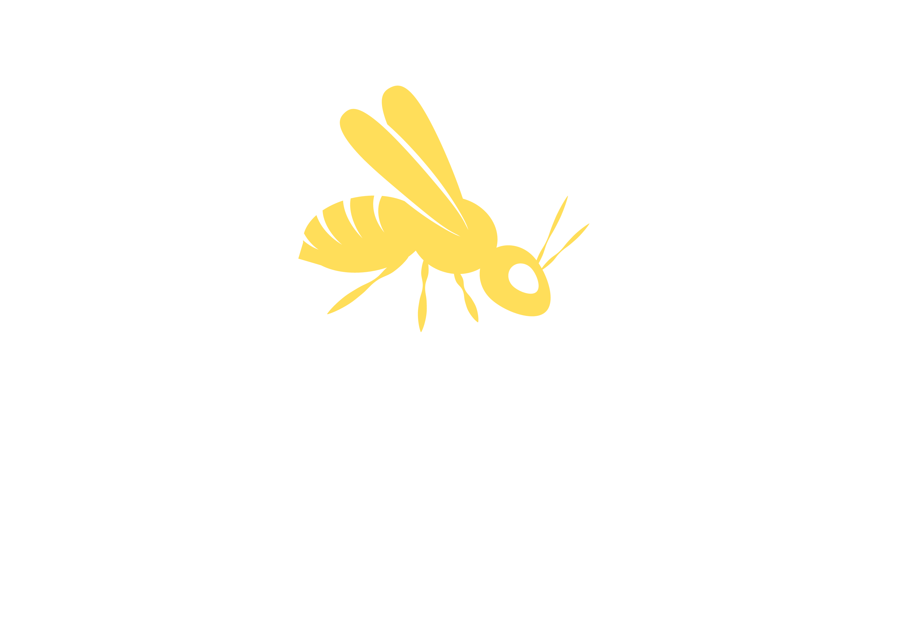 Synoeca